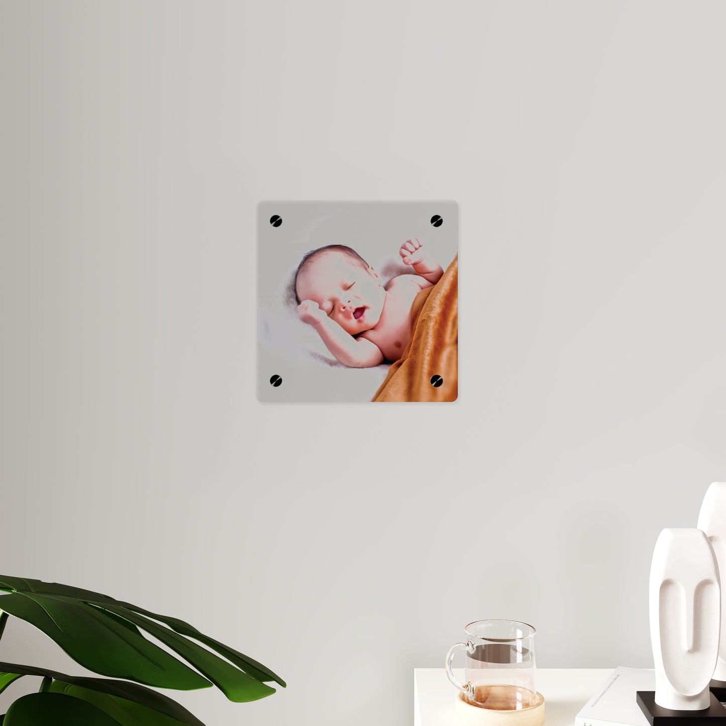 Premium Acrylic Photo Panels